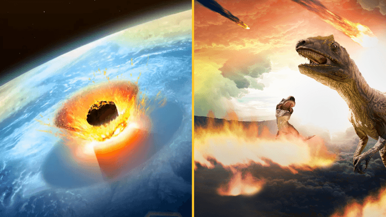 Scientists reveal that it was not the impact of the asteroid that killed off the dinosaurs Scientists reveal that it was not the impact of the asteroid that killed off the dinosaurs