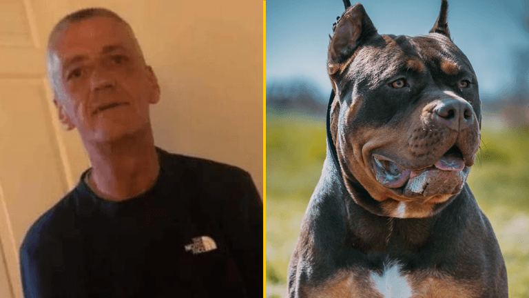 Dad ‘murdered’ in horror XL Bully attack on Sunderland street named Dad ‘murdered’ in horror XL Bully attack on Sunderland street named
