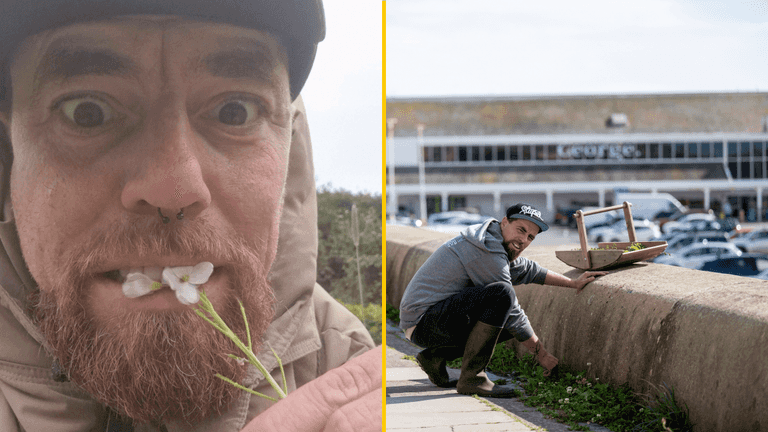 ‘I’m an urban forager – 50% of my food comes from the streets and I spend just £5-a-week at the supermarket’ ‘I’m an urban forager – 50% of my food comes from the streets and I spend just £5-a-week at the supermarket’