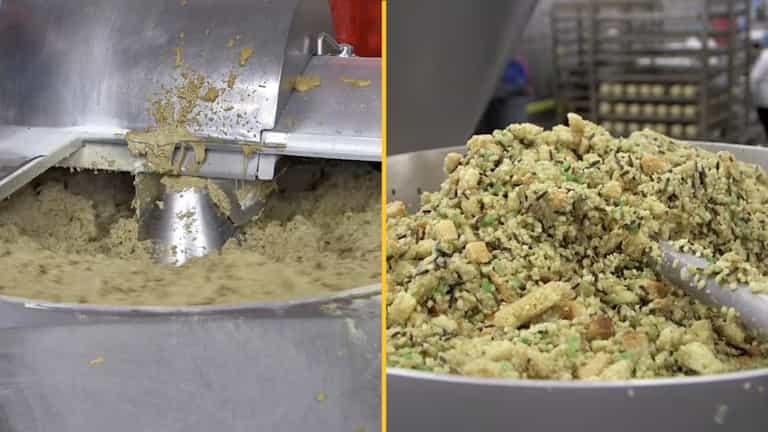 People left disgusted after learning how vegan meat is produced People left disgusted after learning how vegan meat is produced
