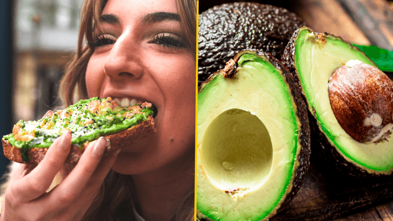 People only just realising avocados might not actually be vegan People only just realising avocados might not actually be vegan