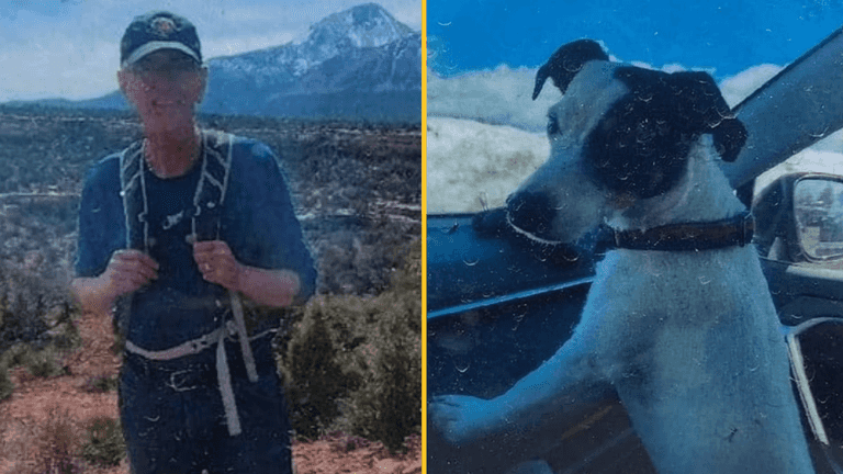 Missing hiker found dead two months after disappearance with dog still alive by his side Missing hiker found dead two months after disappearance with dog still alive by his side