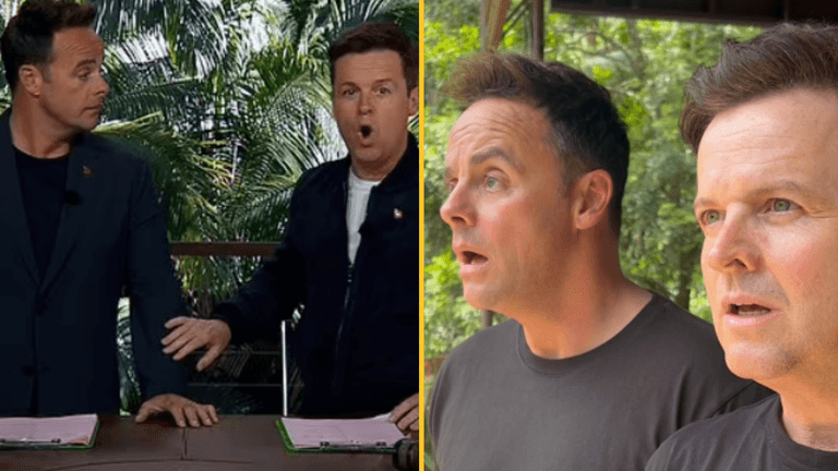 I’m A Celeb camp invaded by venomous snakes days before first episode I’m A Celeb camp invaded by venomous snakes days before first episode