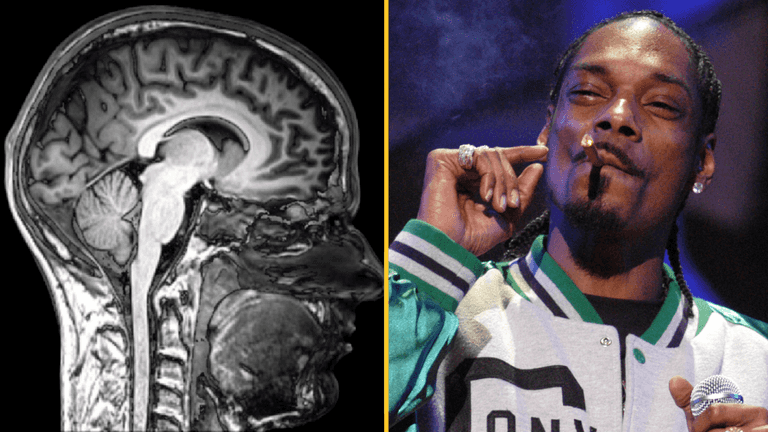 What happens to your body when you give up weed as Snoop Dogg quits smoking What happens to your body when you give up weed as Snoop Dogg quits smoking