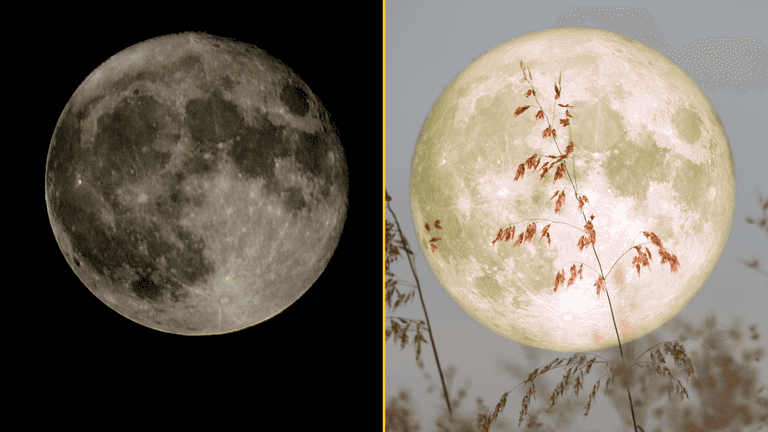 Best time to see full Beaver Moon lighting up UK sky tonight Best time to see full Beaver Moon lighting up UK sky tonight