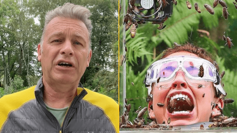Chris Packham slams I’m A Celebrity’s ‘abuse of animals’ Chris Packham slams I’m A Celebrity’s ‘abuse of animals’