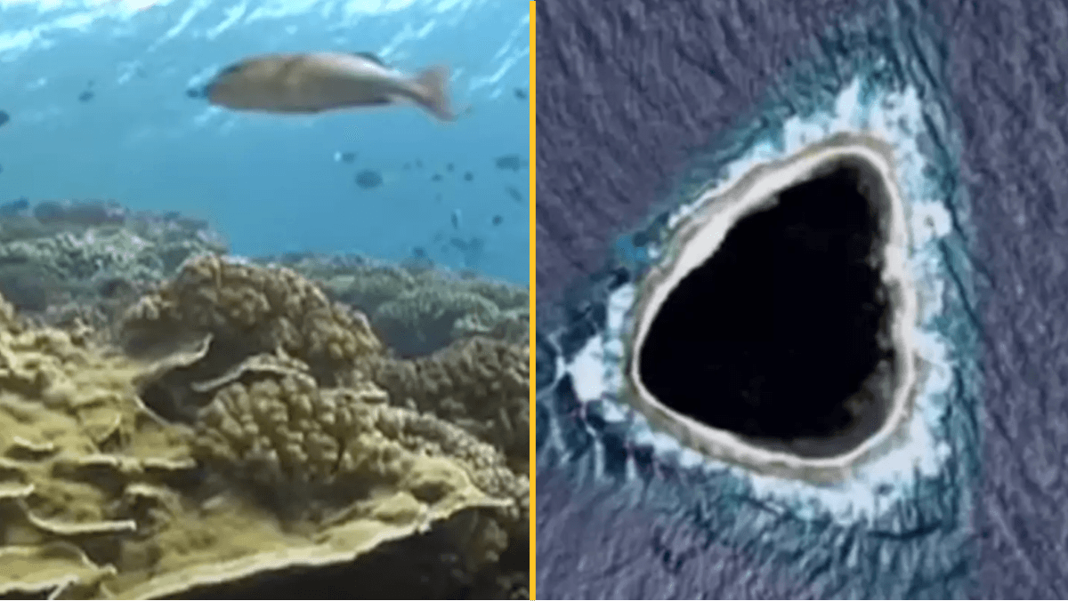 Diver shares incredible reality of hollow island completely blacked out on Google Maps