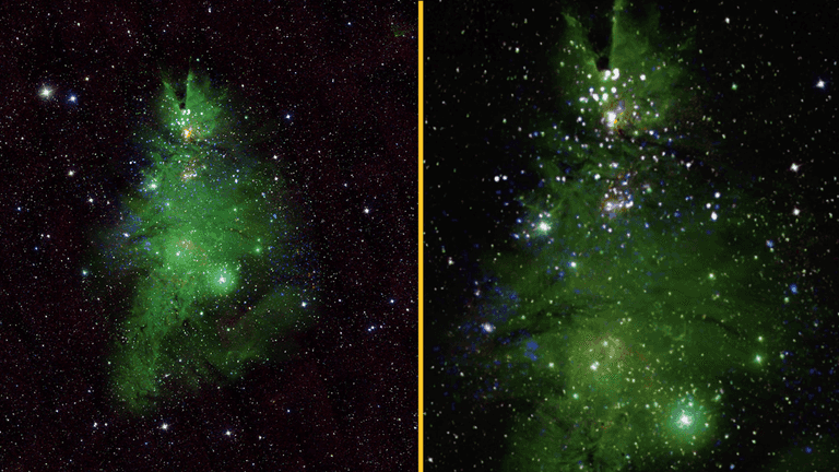 NASA shares remarkable new photo of ‘Christmas tree’ star cluster NASA shares remarkable new photo of ‘Christmas tree’ star cluster