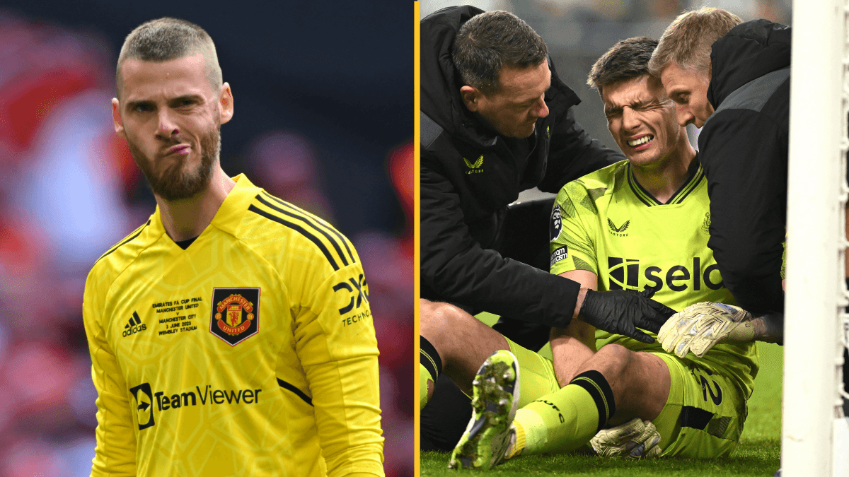 Newcastle should sign David De Gea to fill gap after Nick Pope injury