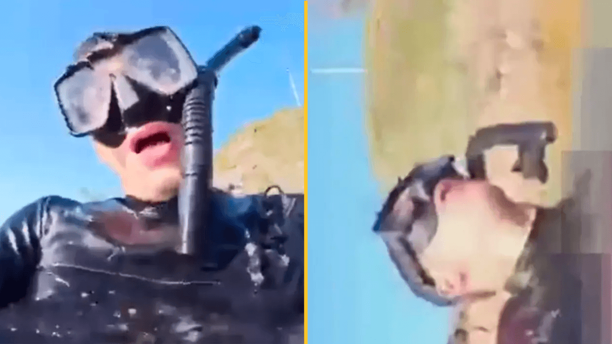 Man who recorded ‘final moments’ during shark attack ‘wanted to say goodbye’