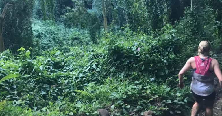 Runner spots terrifying ‘ghost’ in image of her running in forest Runner spots terrifying ‘ghost’ in image of her running in forest