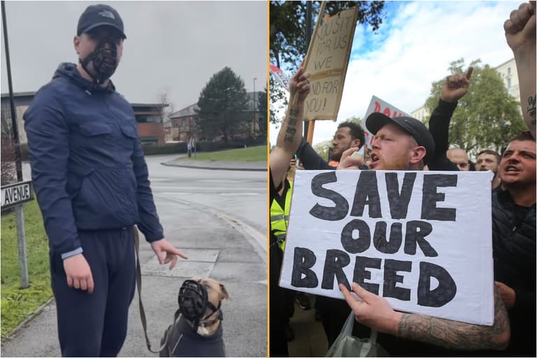 XL Bully owners are wearing muzzles in solidarity with their dogs XL Bully owners are wearing muzzles in solidarity with their dogs