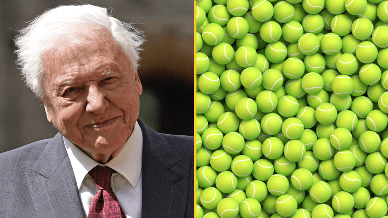 Sir David Attenborough is the reason why tennis balls are yellow Sir David Attenborough is the reason why tennis balls are yellow