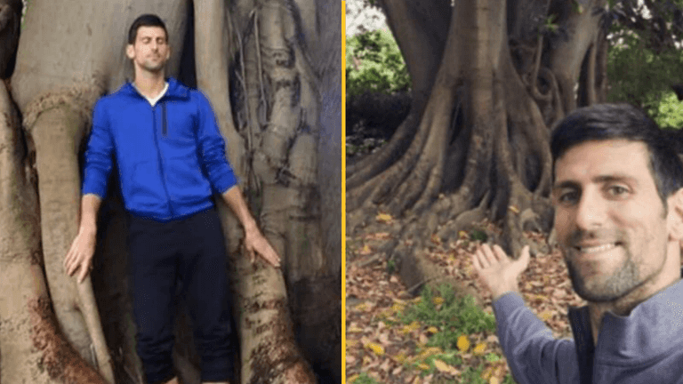 Novak Djokovic has ’15 year special relationship’ with tree in Melbourne Novak Djokovic has ’15 year special relationship’ with tree in Melbourne