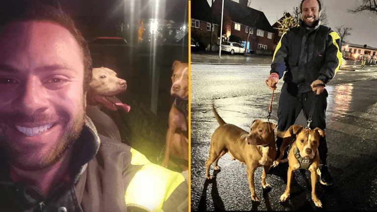 Man drives 200 miles on New Year’s Eve to save XL Bullies Man drives 200 miles on New Year’s Eve to save XL Bullies