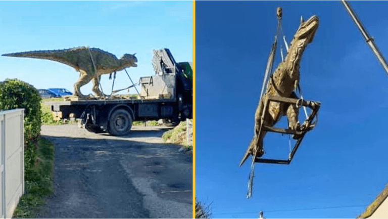 Dad accidentally orders 20ft dinosaur for son Dad accidentally orders 20ft dinosaur for son