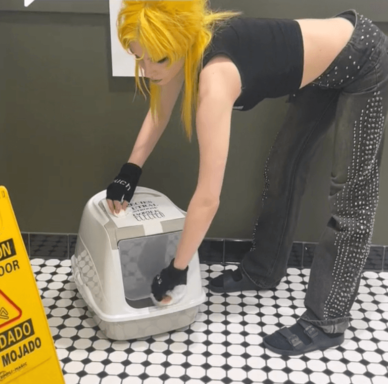 Singer leaves litter boxes in venue toilets for people who identify as animals Singer leaves litter boxes in venue toilets for people who identify as animals