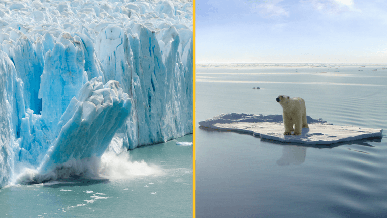 Arctic could be ‘ice-free’ in 10 years’ time Arctic could be ‘ice-free’ in 10 years’ time