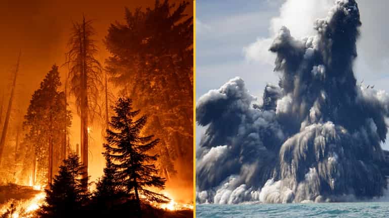 Supercomputer simulation predicts when humans will be wiped out Supercomputer simulation predicts when humans will be wiped out