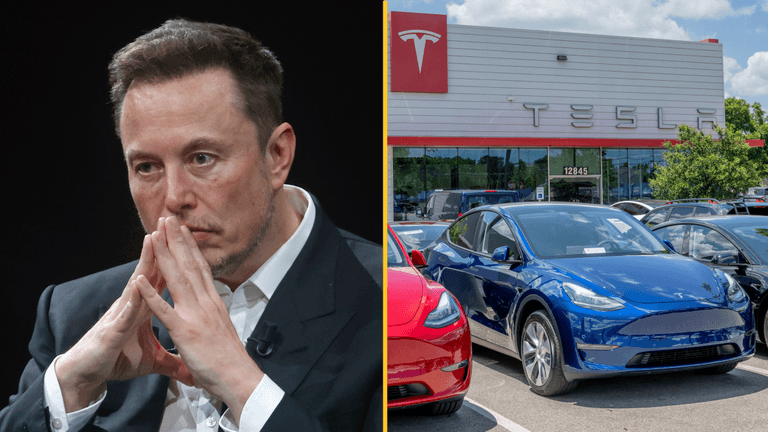 Tesla profits down by more than half amid fall in demand Tesla profits down by more than half amid fall in demand