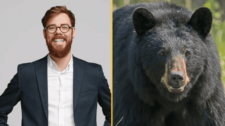 Viral ‘bear or man’ question leaves internet divided Viral ‘bear or man’ question leaves internet divided