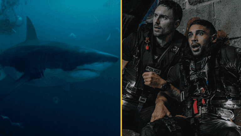 Netflix viewers are saying new film is one of the best shark films ever made Netflix viewers are saying new film is one of the best shark films ever made