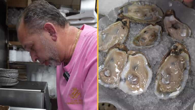 People left disturbed after chef shares the truth about eating oysters People left disturbed after chef shares the truth about eating oysters