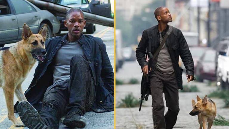 I Am Legend 2 confirmed to be a sequel with Will Smith starring I Am Legend 2 confirmed to be a sequel with Will Smith starring