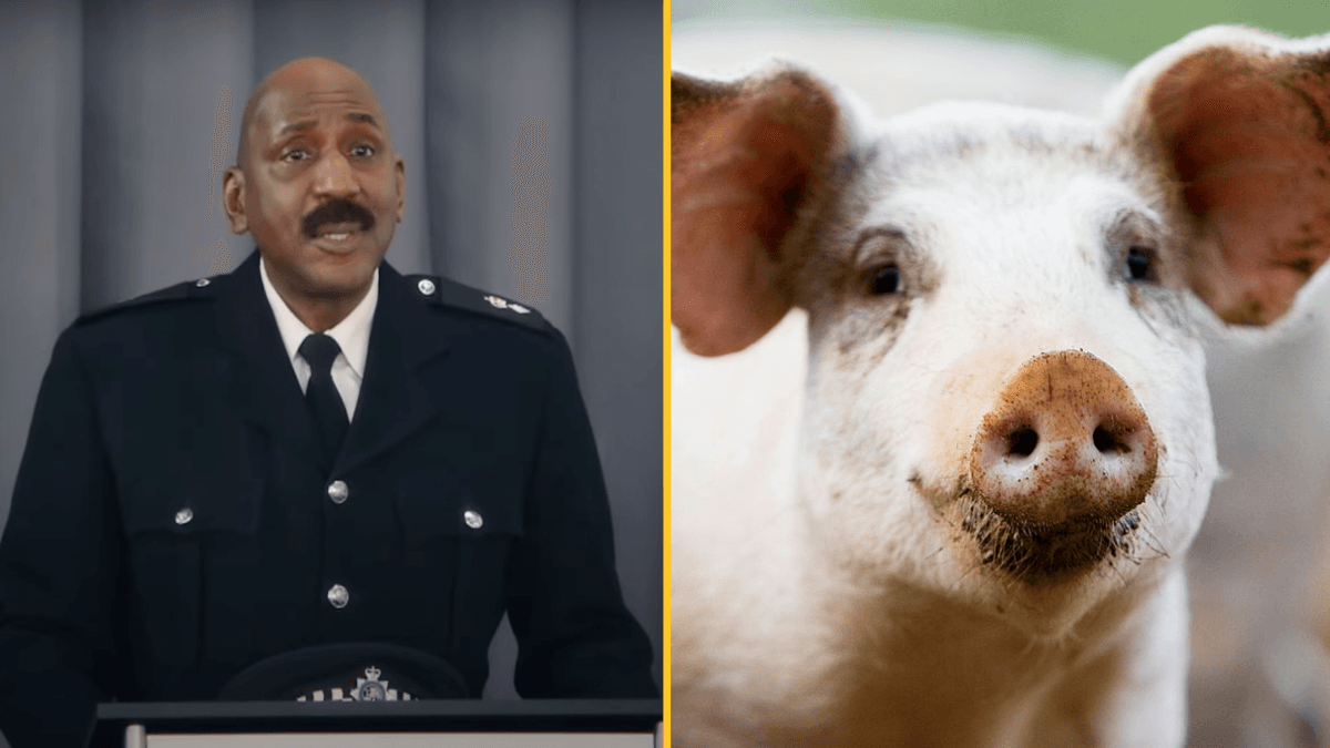 Police condemn new ITV comedy show with “highly offensive” name