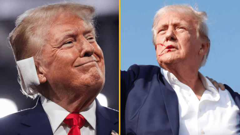 Donald Trump shares brutal response after FBI director probes if bullet hit his ear Donald Trump shares brutal response after FBI director probes if bullet hit his ear