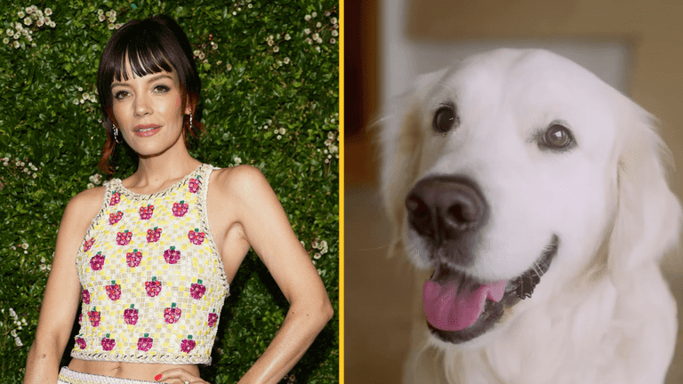 PETA sends Lily Allen brutal present after she returned dog for eating her passport PETA sends Lily Allen brutal present after she returned dog for eating her passport