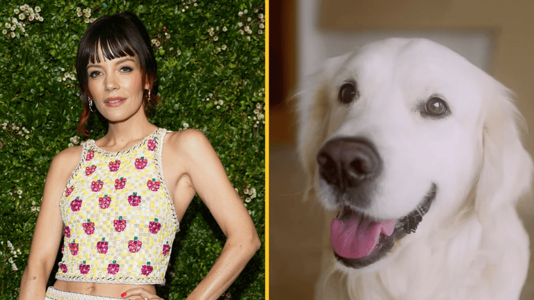 PETA sends Lily Allen brutal present after she returned dog for eating her passport PETA sends Lily Allen brutal present after she returned dog for eating her passport