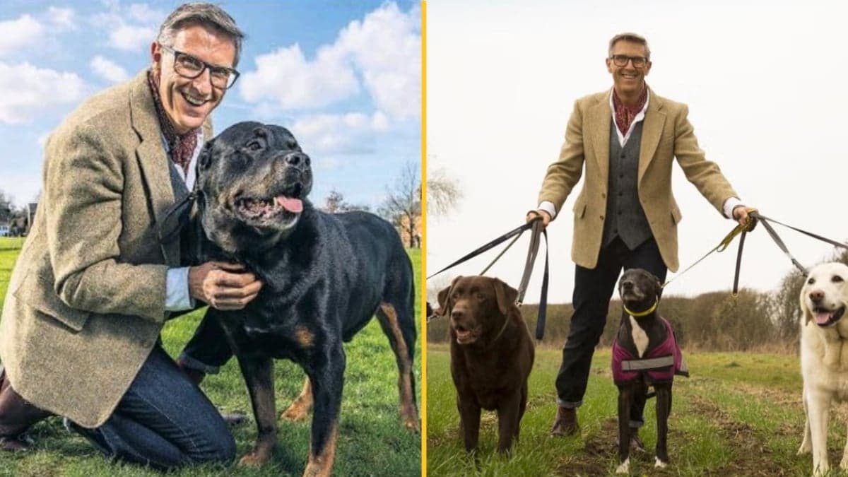 Channel 5 is looking for owners of naughty dogs to take part in Dogs Behaving (Very) Badly