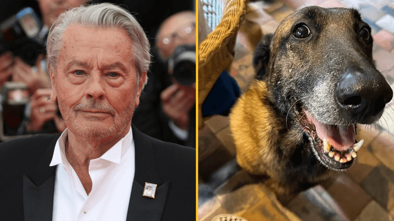 Family of late French actor refuse his final wish to have his dog euthanised Family of late French actor refuse his final wish to have his dog euthanised