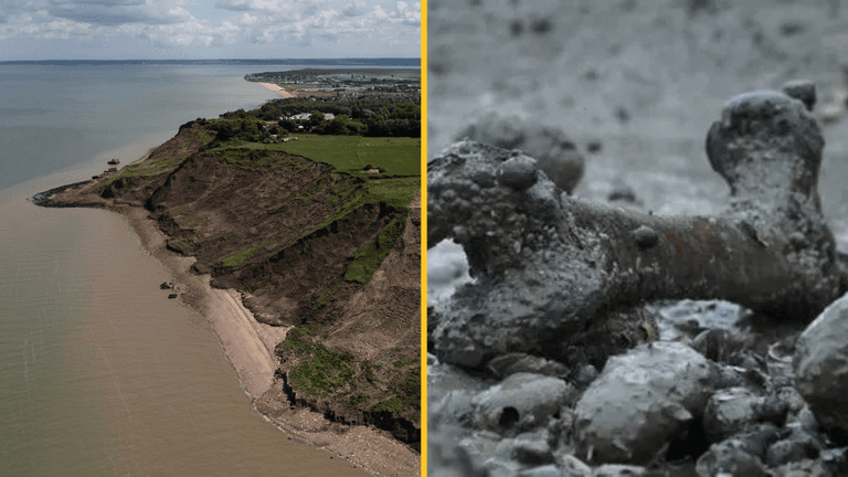 No one is allowed to set foot on ‘world’s most infected island’ No one is allowed to set foot on ‘world’s most infected island’