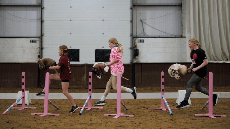 People are calling for hobby horsing to be made an Olympic sport People are calling for hobby horsing to be made an Olympic sport