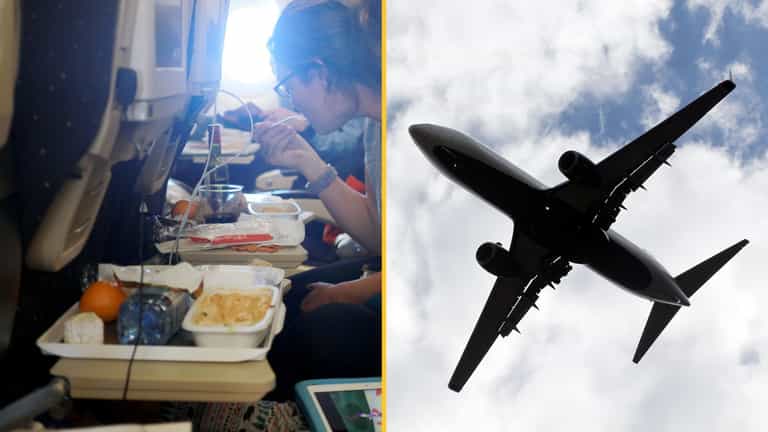 Plane makes emergency landing after mouse jumps out of meal Plane makes emergency landing after mouse jumps out of meal