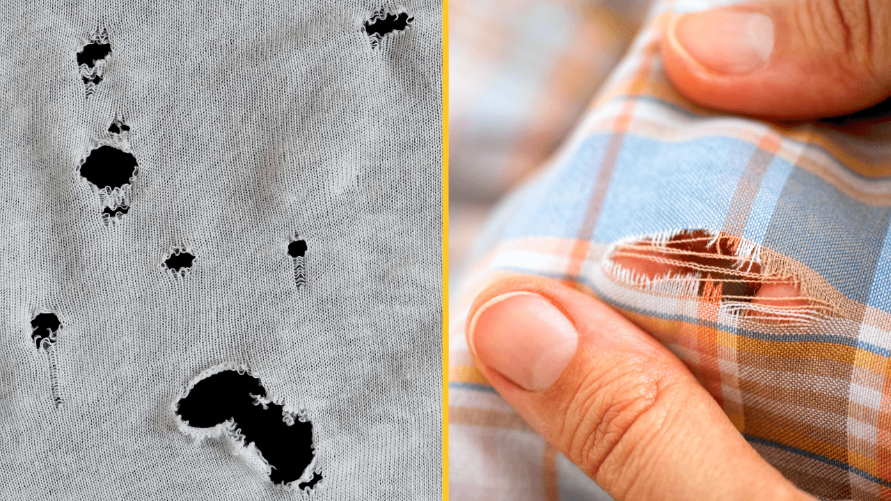 People are only just discovering why tiny holes always re-appear on their T-shirts