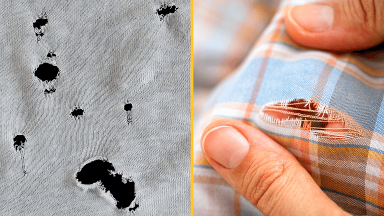 People are only just discovering why tiny holes always re-appear on their T-shirts People are only just discovering why tiny holes always re-appear on their T-shirts