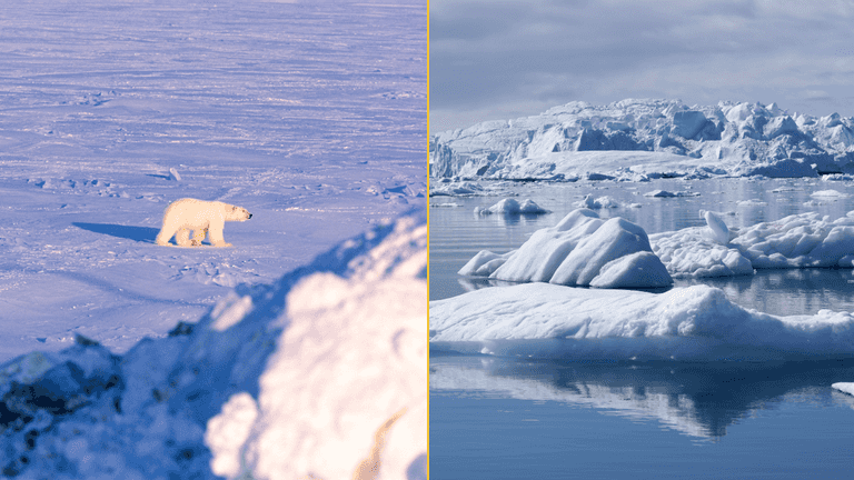 Scientists have discovered a way to ‘grow’ sea ice and refreeze the Arctic sea Scientists have discovered a way to ‘grow’ sea ice and refreeze the Arctic sea