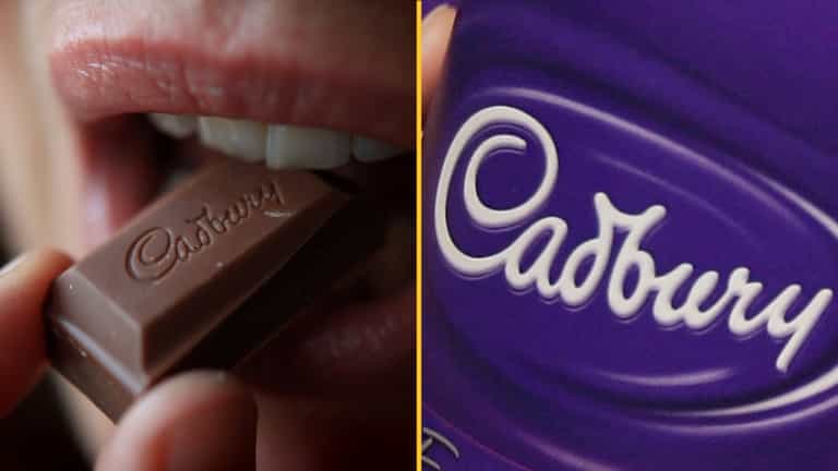 Shoppers go wild as ‘extinct’ Cadbury’s chocolate bar returns to stores Shoppers go wild as ‘extinct’ Cadbury’s chocolate bar returns to stores