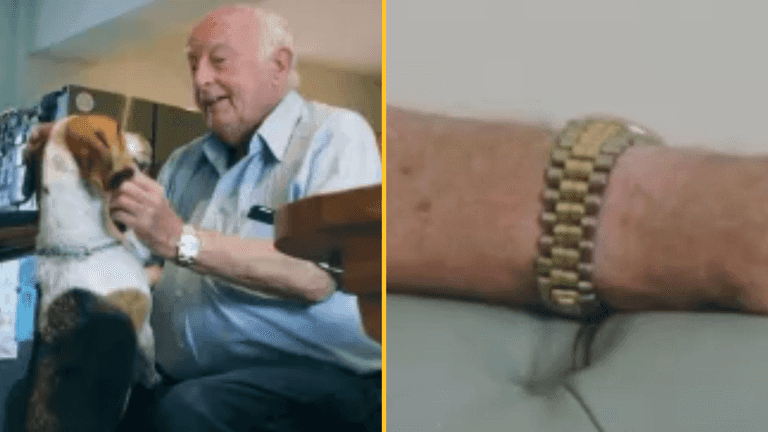 Tories slammed after pensioner wearing ‘£17k Rolex’ in winter fuel video Tories slammed after pensioner wearing ‘£17k Rolex’ in winter fuel video