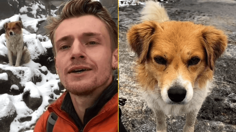 A lost hiker at an altitude of 5,000 metres sees a stray dog appear out of nowhere: ‘I decided to follow it and it saved me’ A lost hiker at an altitude of 5,000 metres sees a stray dog appear out of nowhere: ‘I decided to follow it and it saved me’