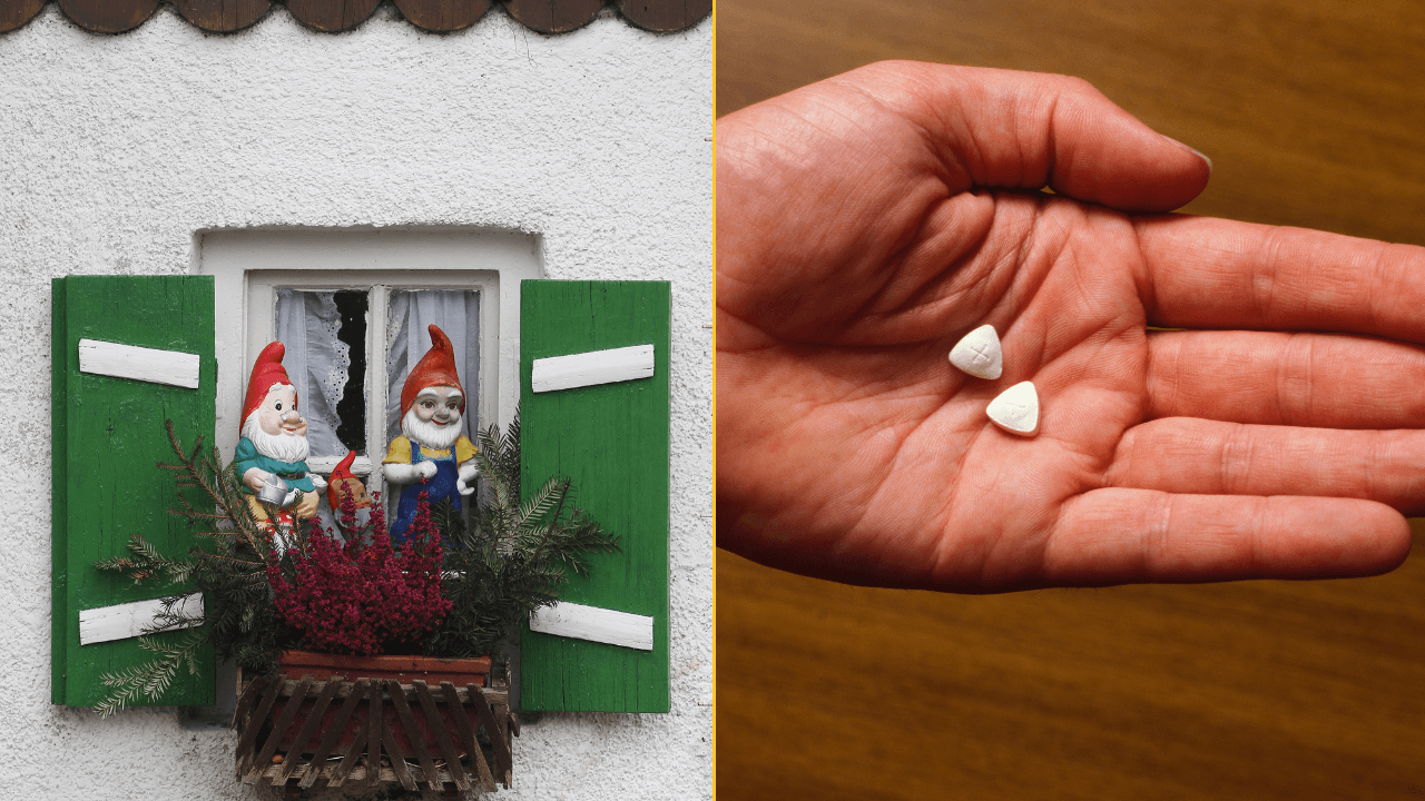 Police discover garden gnome made entirely from MDMA