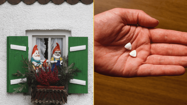 Police discover garden gnome made entirely from MDMA Police discover garden gnome made entirely from MDMA