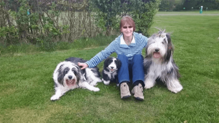Dog tragically killed by train after she was spooked by fireworks Dog tragically killed by train after she was spooked by fireworks