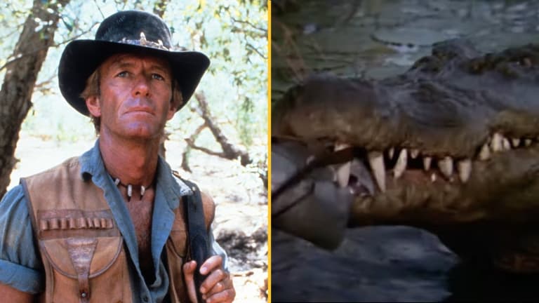 Crocodile from Crocodile Dundee has died aged 90 Crocodile from Crocodile Dundee has died aged 90