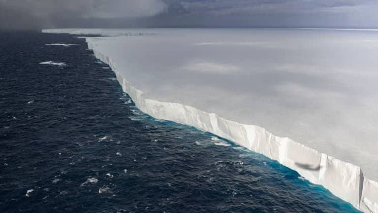 World’s largest iceberg on collision course with island – putting millions of penguins in danger World’s largest iceberg on collision course with island – putting millions of penguins in danger
