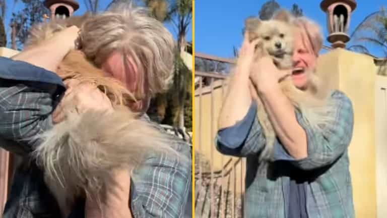 LA man reunites with lost dog after home was destroyed in wildfires LA man reunites with lost dog after home was destroyed in wildfires