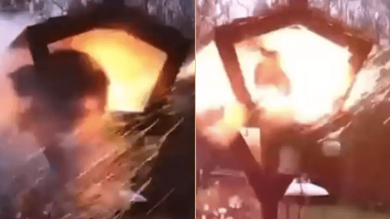 Parish councillor resigns after blowing up cat in birdhouse Parish councillor resigns after blowing up cat in birdhouse